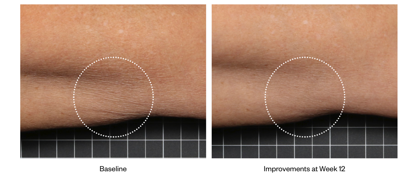 Firm & Tone Lotion