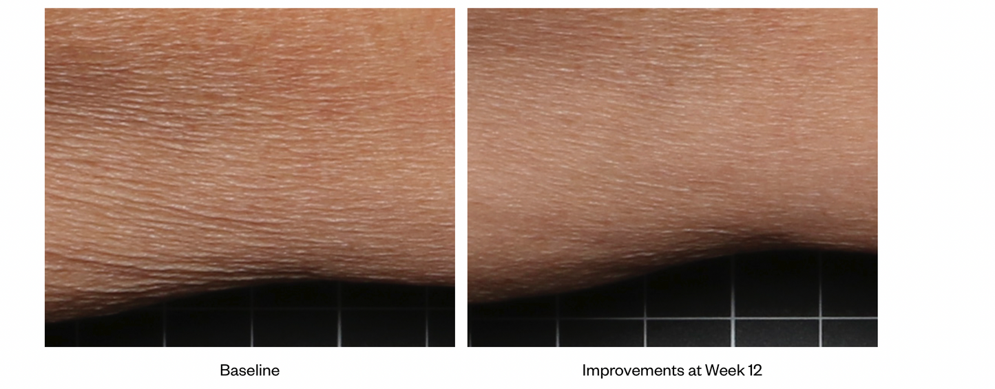 Firm & Tone Lotion